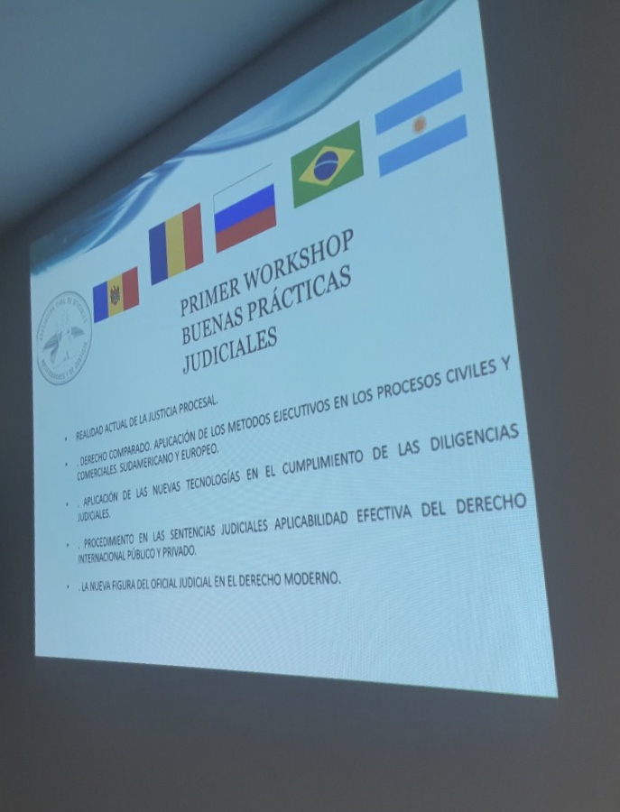 Conferința internațională „Bunele practici în executarea silită” din Argentina